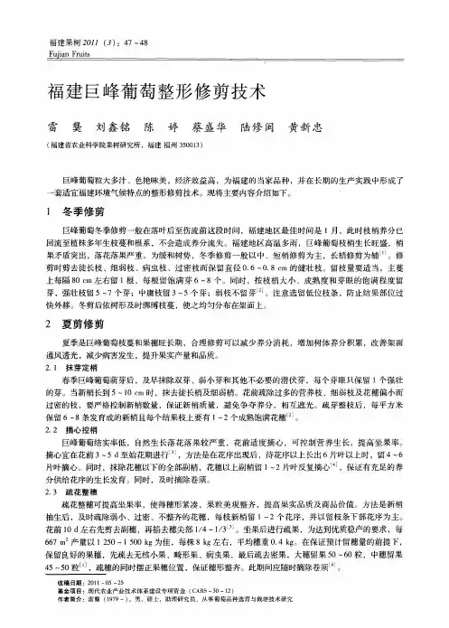 福建巨峰葡萄整形修剪技术