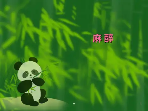 《麻醉相关知识》PPT课件