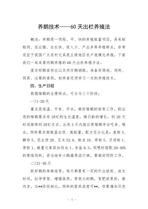 养鹅技术——60天出栏养殖法