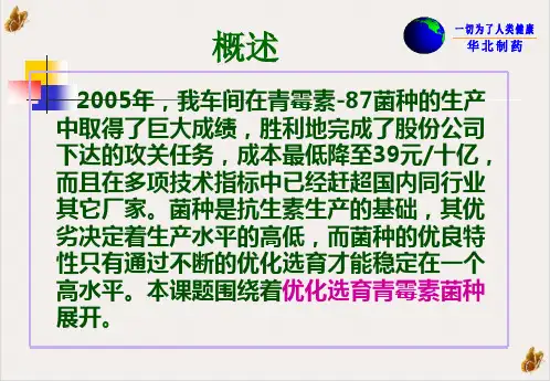 青霉素菌种的优化选育ppt下载