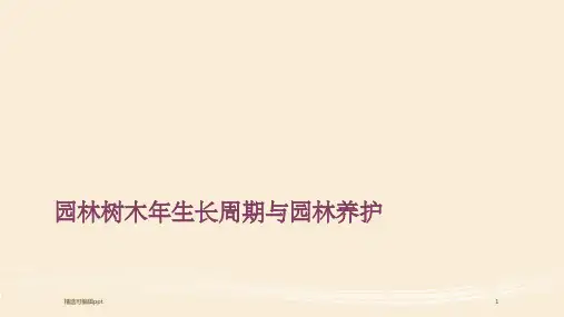 园林树木年生长周期与园林养护