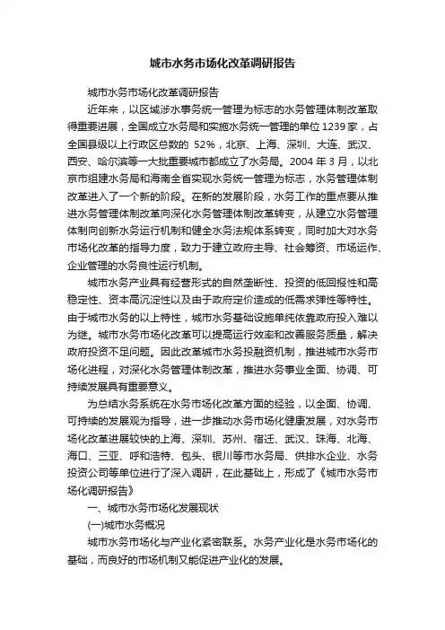 城市水务市场化改革调研报告
