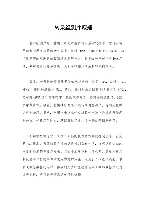 转录组测序原理