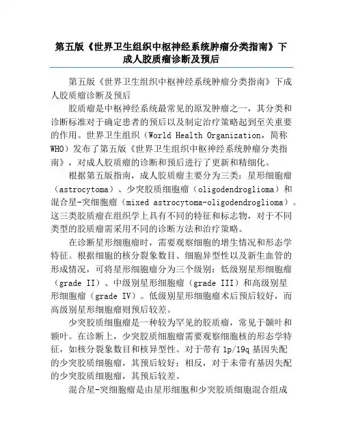 第五版《世界卫生组织中枢神经系统肿瘤分类指南》下成人胶质瘤诊断及预后