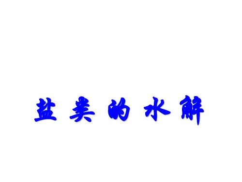 盐类的水解 课件 