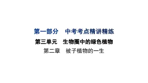 中考生物复习(人教版)第三单元 第二章 被子植物的一生课件(共38张PPT)