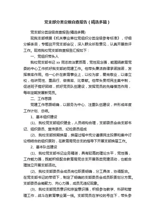 党支部分类定级自查报告（精选多篇）