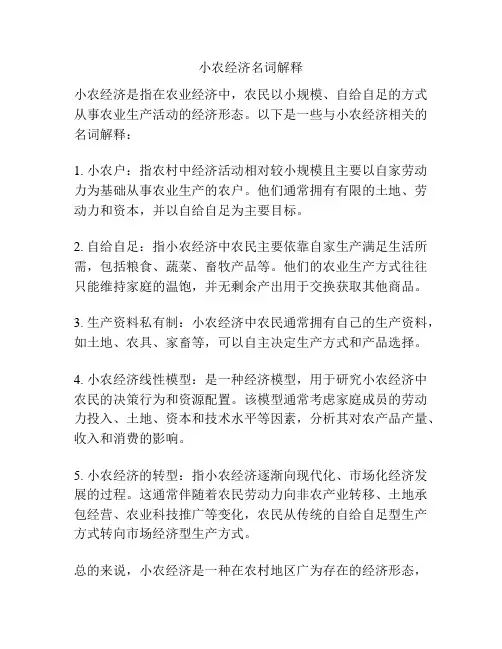 小农经济名词解释