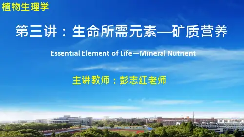 02-植物吸收矿质元素机理