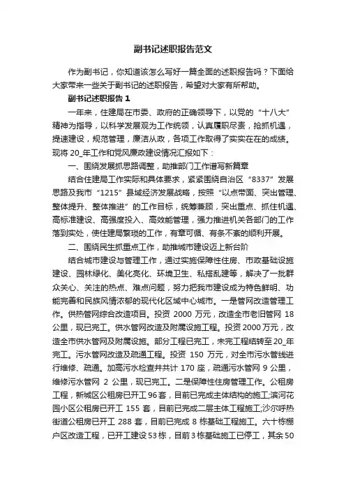 副书记述职报告范文
