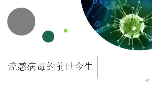 流感病毒的进化历史.pptx