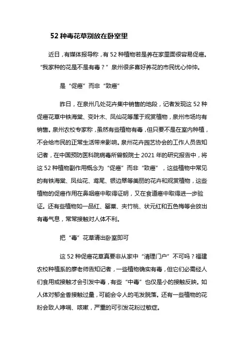 52种毒花草别放在卧室里
