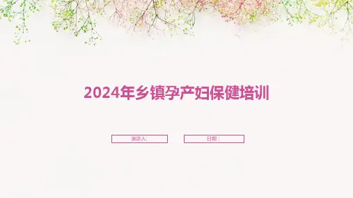 2024年乡镇孕产妇保健培训