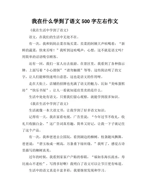 我在什么学到了语文500字左右作文