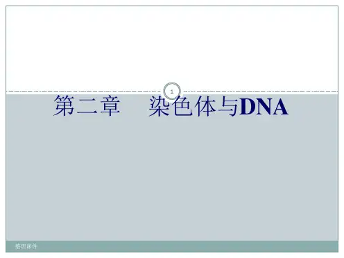 染色体与DNA分子生物学ppt课件
