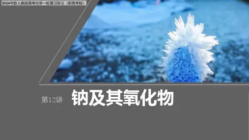 2024年新人教版高考化学一轮复习讲义(新高考版)  第4章 第12讲 钠及其氧化物