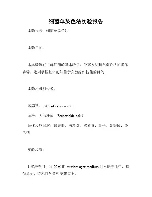 细菌单染色法实验报告