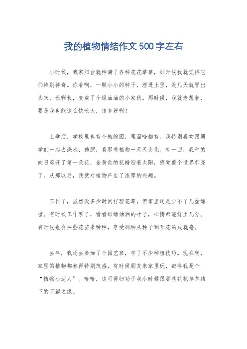 我的植物情结作文500字左右