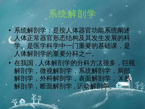 系统解剖学