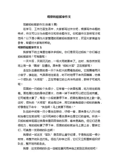 观察蚂蚁搬家作文（合集5篇）