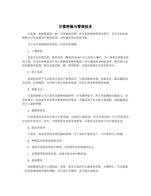 甘蓝种植与管理技术