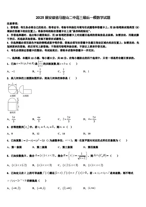 2025届安徽省马鞍山二中高三最后一模数学试题含解析