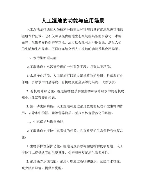 人工湿地的功能与应用场景