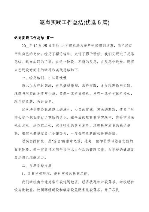 返岗实践工作总结(优选5篇)