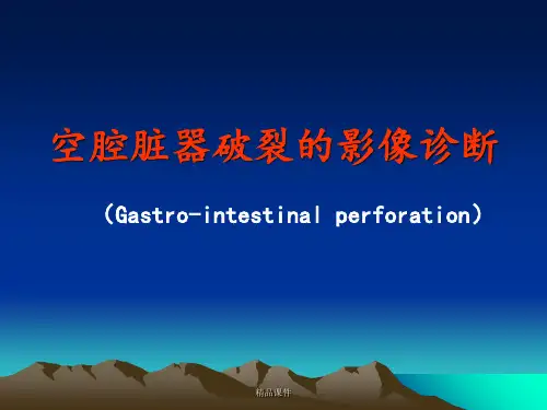 空腔脏器穿孔的影像诊断