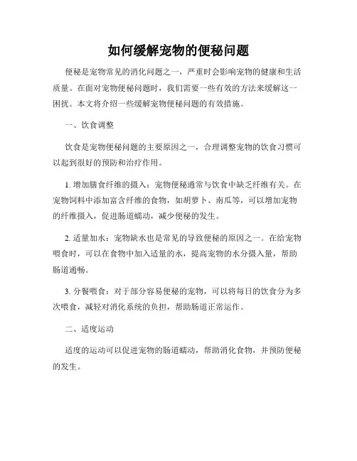 如何缓解宠物的便秘问题