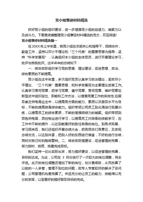 党小组事迹材料精选