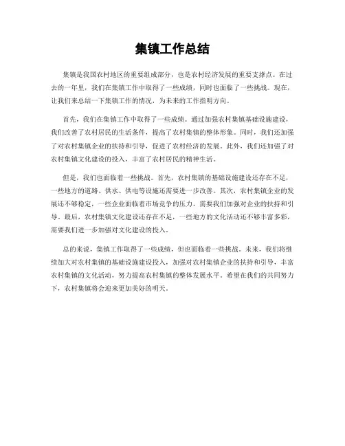 集镇工作总结