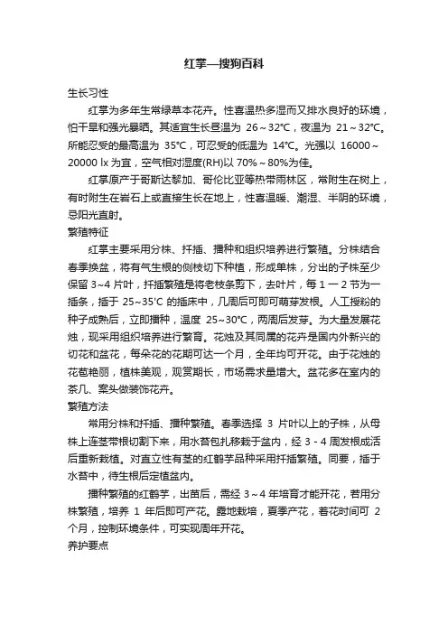 红掌—搜狗百科