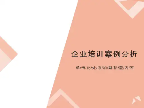 企业培训案例分析