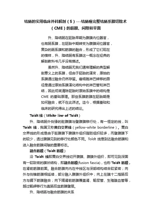 结肠的实用临床外科解剖（5）---结肠癌完整结肠系膜切除术（CME）的筋膜、间隙和平面