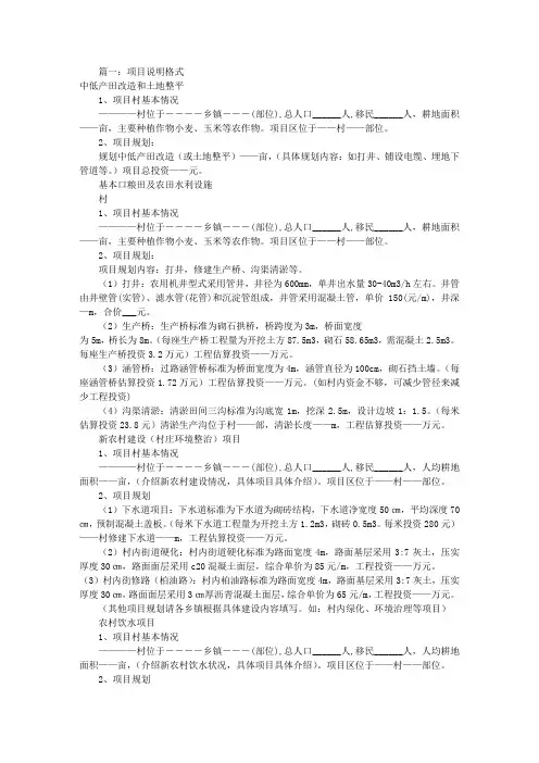 项目说明书格式(共5篇)