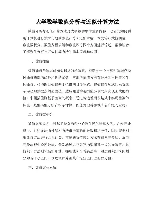 大学数学数值分析与近似计算方法