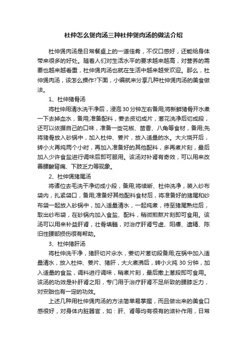 杜仲怎么煲肉汤三种杜仲煲肉汤的做法介绍