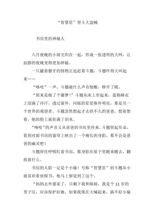 “智慧星”智斗大盗贼