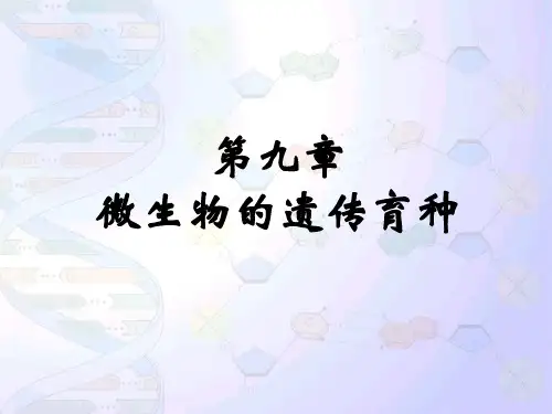 福州大学微生物微生物的遗传育种