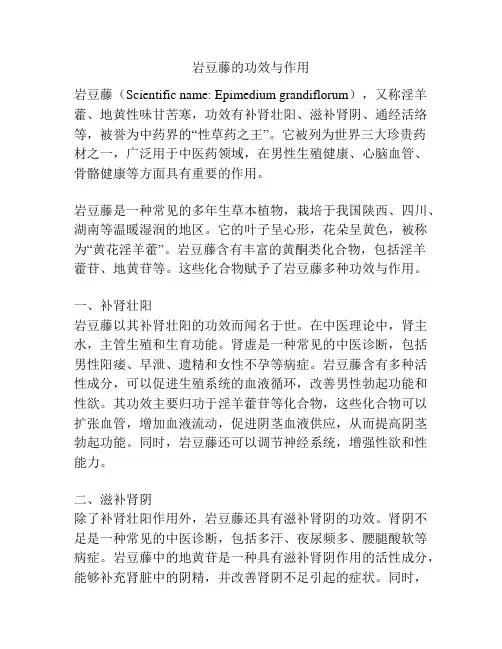 岩豆藤的功效与作用