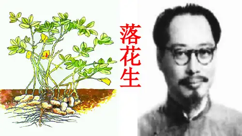 《落花生》全面课件(新人教版小学语文五年级上册课件)