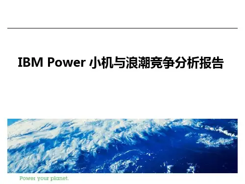 IBM Power小机与浪潮竞争分析报告