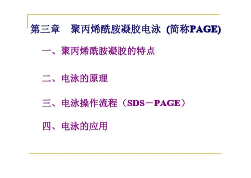 聚丙烯酰胺凝胶电泳简称PAGE