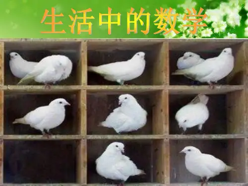 《抽屉原理》 ppt
