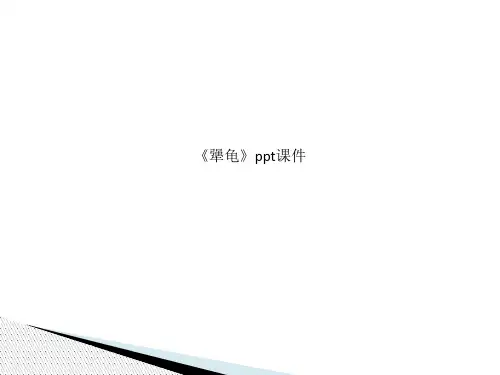 精品课件-《犟龟》ppt课件