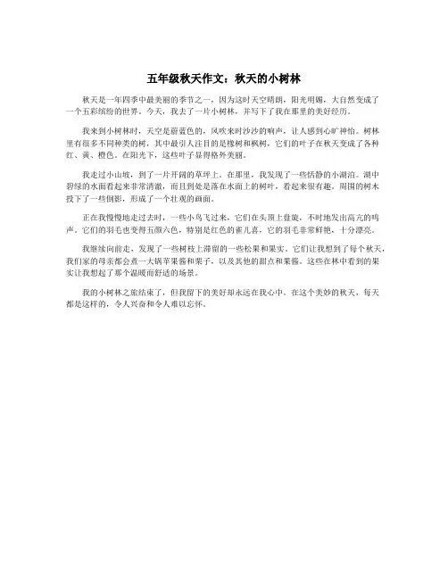 五年级秋天作文：秋天的小树林