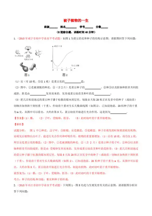 2020版中考生物大题狂做系列：专题04 被子植物的一生(含解析)