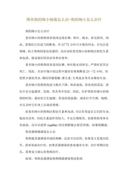 博美狗的细小细菌怎么治-狗的细小怎么治疗