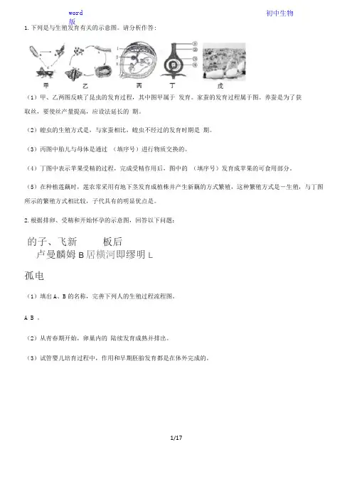 人教版初中生物八年级下册识图理解专题训练